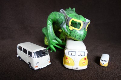 Der Leguan in Lauerstellung