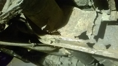 WP_20160716_011.jpg