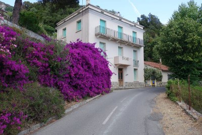 Wanderung im Patrimonio bei St. Florent