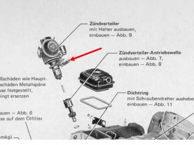 Y_Halter ZV.jpg