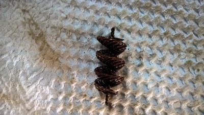 WP_20161023_14_39_41_Pro.jpg
