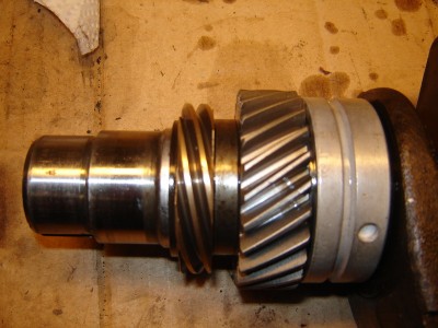 DSC05113_klein.JPG