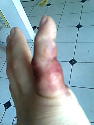 Bild0274.jpg