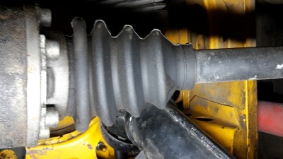 20170415_115850.jpg