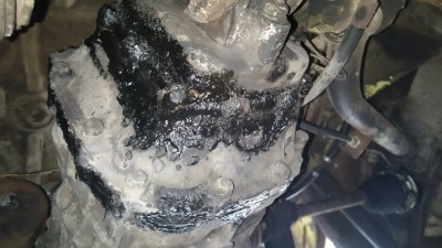 20170505_165715.jpg