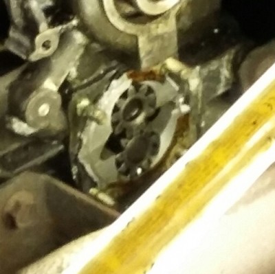 20170506_105237-1.jpg