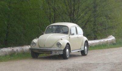 käfer1302.jpg