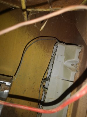 IMG_20201107_184705.jpg