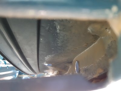 20201004_123323.jpg
