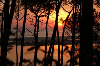 Ausblick