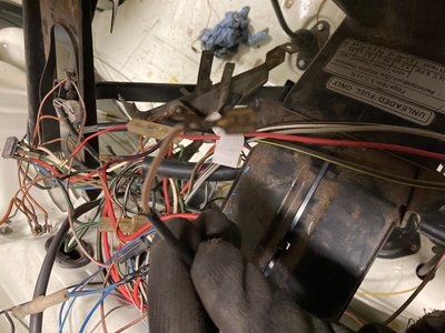 Braun weißes Kabel an Warm-Heiß-Verstellung?