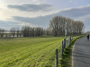 Naturschutzgebiet am Rhein bei Bislich