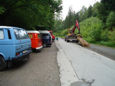 montag vormittag wurden die baumstammbarrieren wieder entfernt