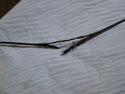 P1060520a.JPG