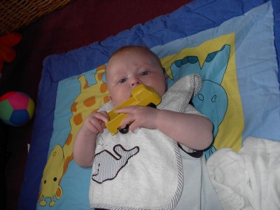 Karolin mit Bulli2 0802.jpg