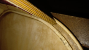 20220612_224738.jpg