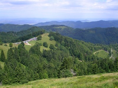 Kälbelescheuer (10)a.jpg
