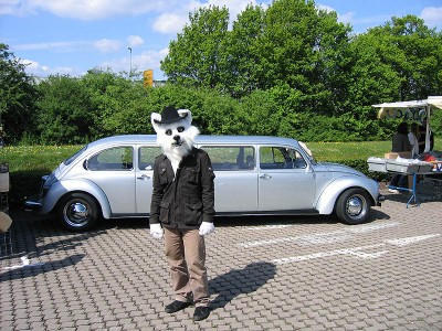Wolf.jpg