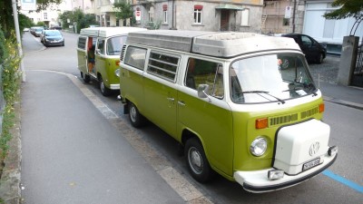 Zwillinge L1090600.jpg