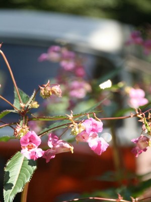 ...also viel Zeit, sinnfreie Bilder zu machen :-)