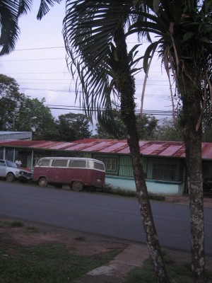 ...und unter Palmen in Costa Rica.