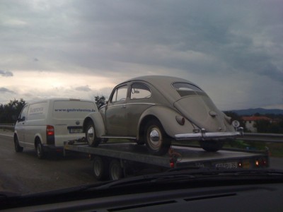 kleiner Käfer auf der Autobahn