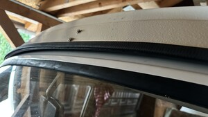 IMG_3361.JPEG