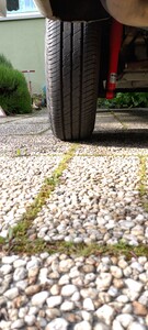 IMG_20230514_174831.jpg