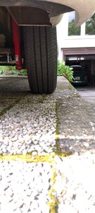 IMG_20230514_174813.jpg
