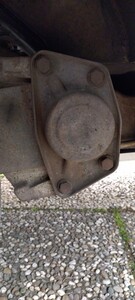 IMG_20230514_195045.jpg