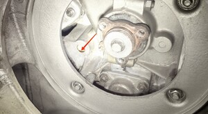 IMG_20230627_123656.jpg
