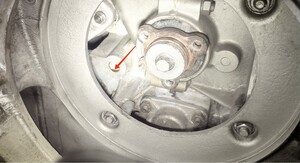 IMG_20230627_123523.jpg