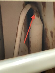 IMG_6902.JPEG