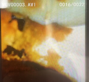 IMG_6903.JPEG