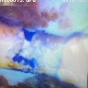 IMG_6904.JPEG