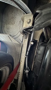 IMG_4049.jpeg