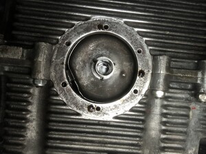 IMG_6710.jpeg