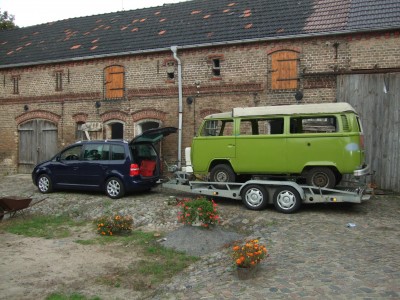 mein 76er Westi