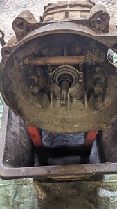 PXL_20230913_094429000.jpg