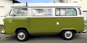 meinbus.jpg
