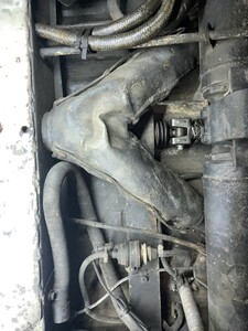 IMG_5361.jpeg
