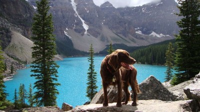 Morain Lake