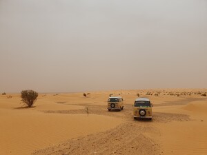 20240517_112223.jpg