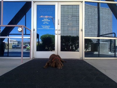 Visitor Information Las Vegas &quot;Closed Today&quot;
