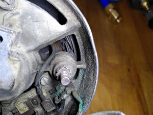 IMG_20240925_125301.jpg