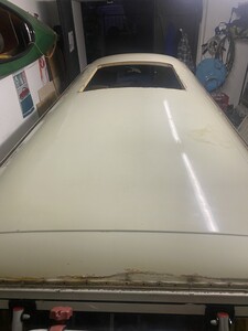 IMG_2565.jpeg