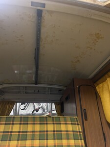 IMG_2605.jpeg