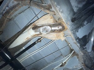 IMG_6497.jpeg