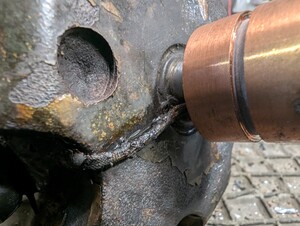 PXL_20241009_161422170.jpg