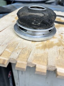 IMG_1137.jpeg